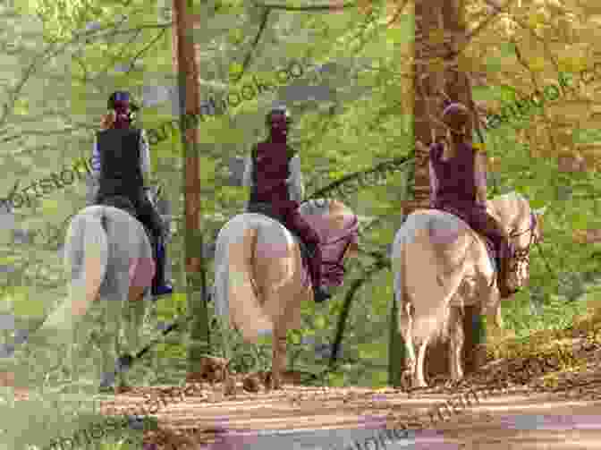 A Group Of People On Horseback, Riding Through A Meadow Sweet Thunder (Two Medicine Country)