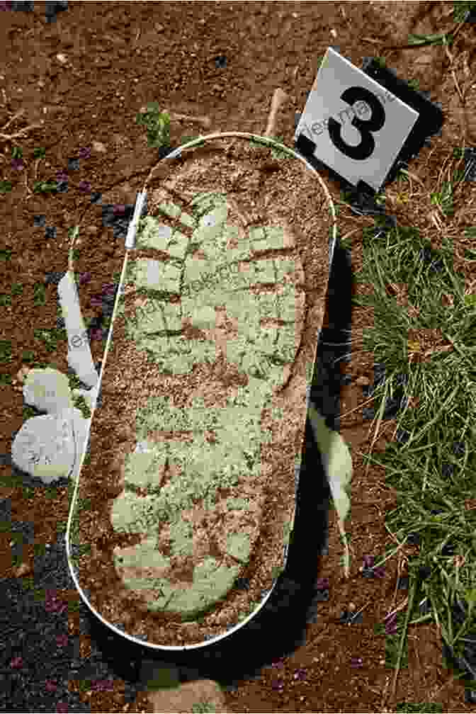 Close Up Of The Footprint Found Near The Scene Of The Crime, A Crucial But Enigmatic Clue That Has Remained Unsolved. The Alvarez Family Murder Mysteries: Vol 1 6