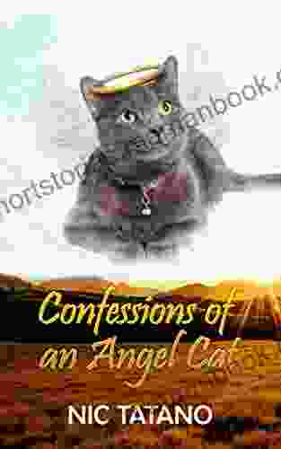 Confessions Of An Angel Cat